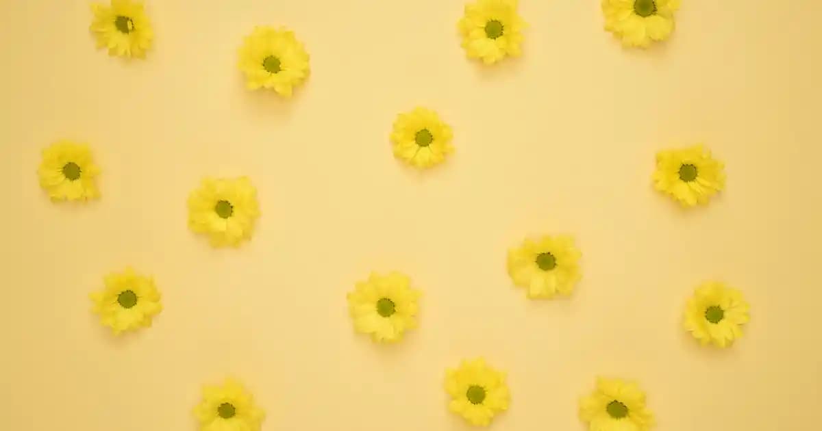 Scuba Kumaş Ceketler: Modern Şıklık ve Konfor Sunan Güncel Dış Giyim Seçenekleri