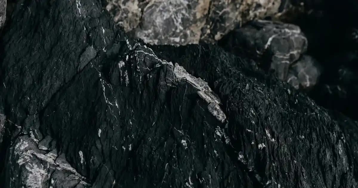 Sırt Baskılı Tişörtler: Günümüz Moda Trendlerinde Kendini İfade Etmenin Yolu