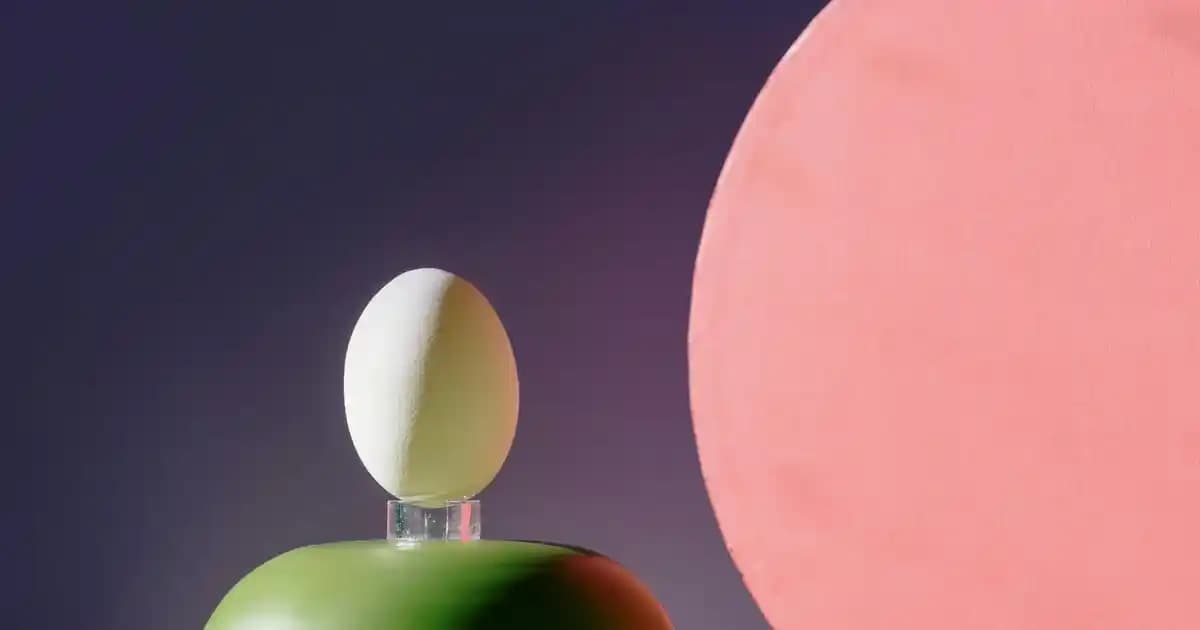 Siyah Erkek Kazak Modelleri ve Kombinasyonları: Günlük ve Resmi Kullanım Rehberi