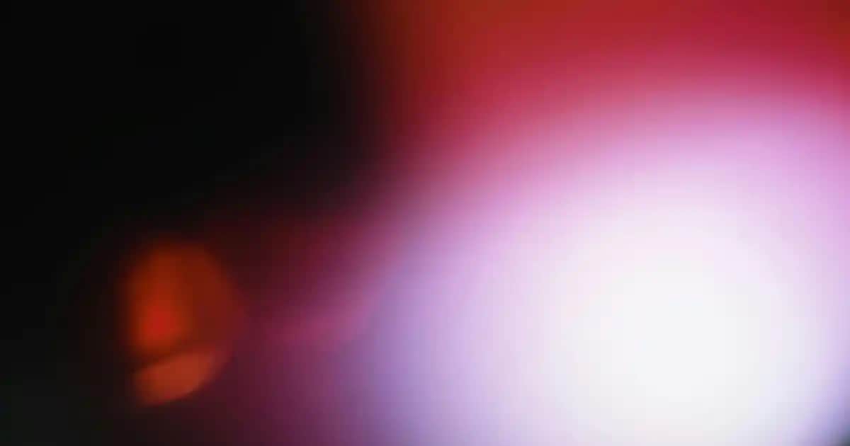 Siyah İnce Hırka ile Şıklığınızı Tamamlayın Modern ve Çok Yönlü Giyim Parçası