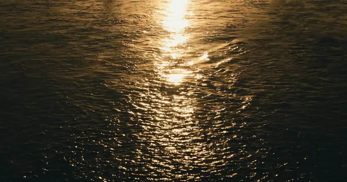 Siyah Kaban ve Ceket Modelleri: Zamansız Şıklık ve Güncel Trendler