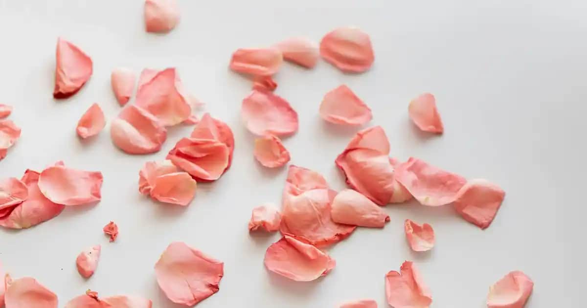 Siyah V Yaka Kazaklar: Şıklık ve Konforu Bir Arada Sunan Moda Tercihi