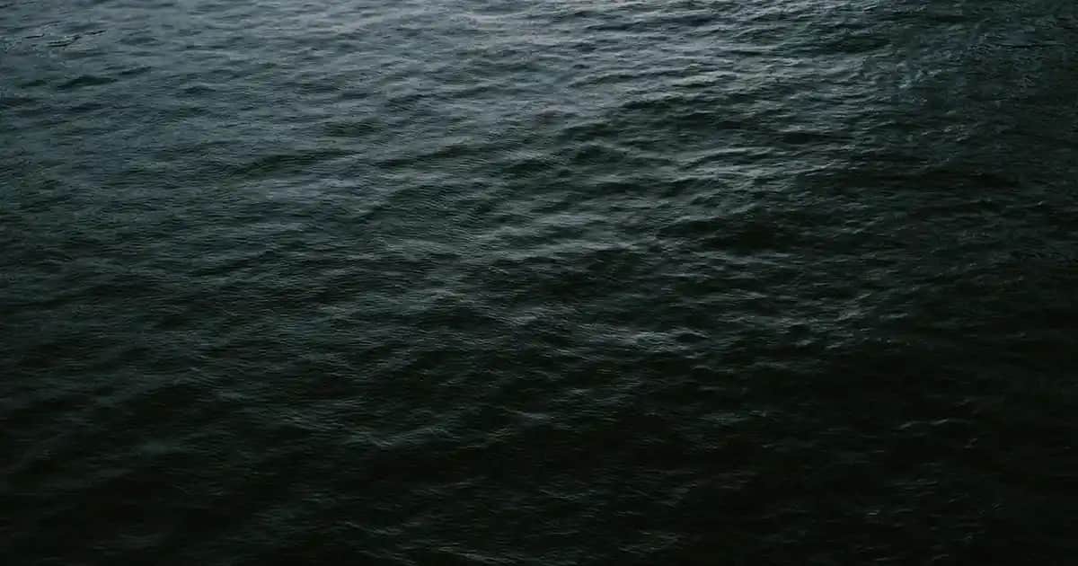 Slazenger Erkek Şortlar: Konfor ve Şıklığı Bir Arada Sunan Yaz Giyim Seçenekleri