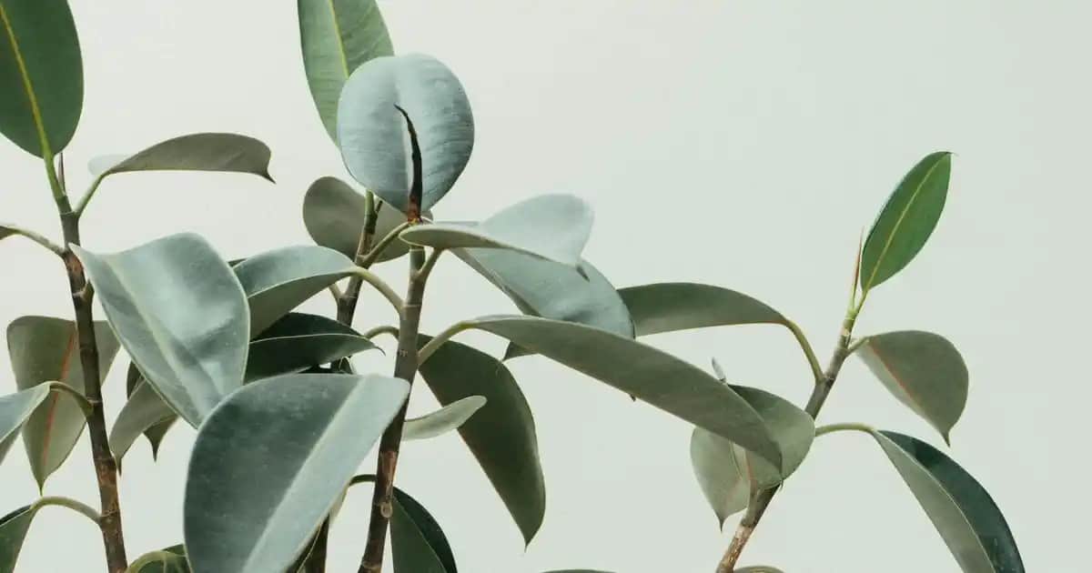 Toz Pembe Mini Elbise Modası ve Kombinasyon İpuçlarıyla Şıklığınızı Yükseltin