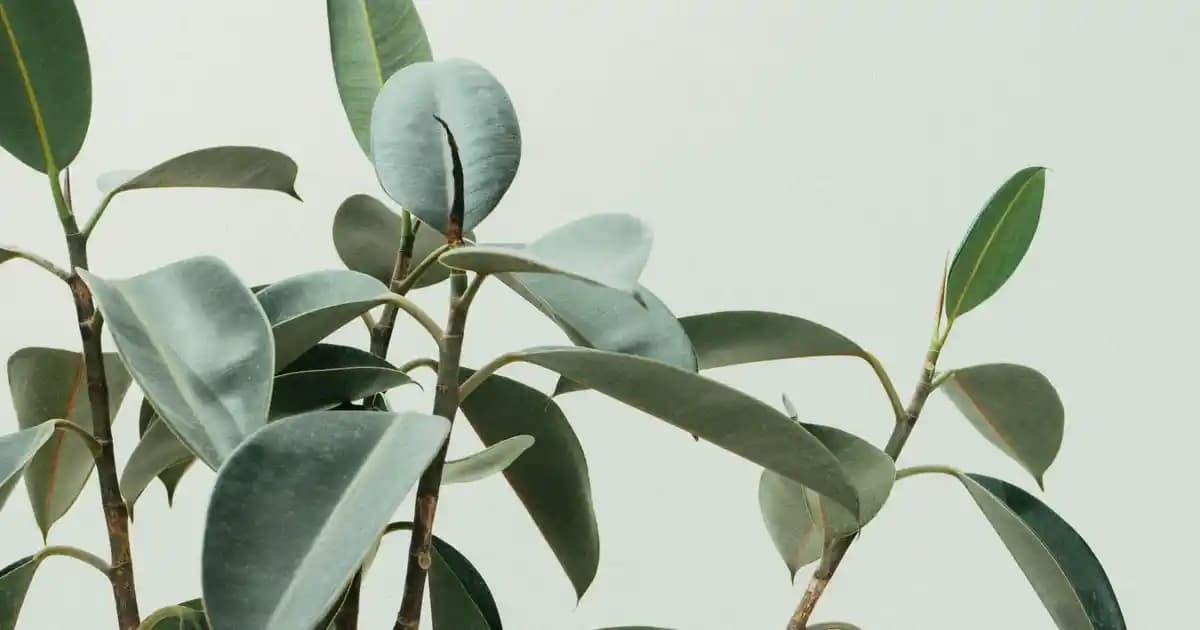 Toz Pembe Mini Elbise Modası ve Kombinasyon İpuçlarıyla Şıklığınızı Yükseltin