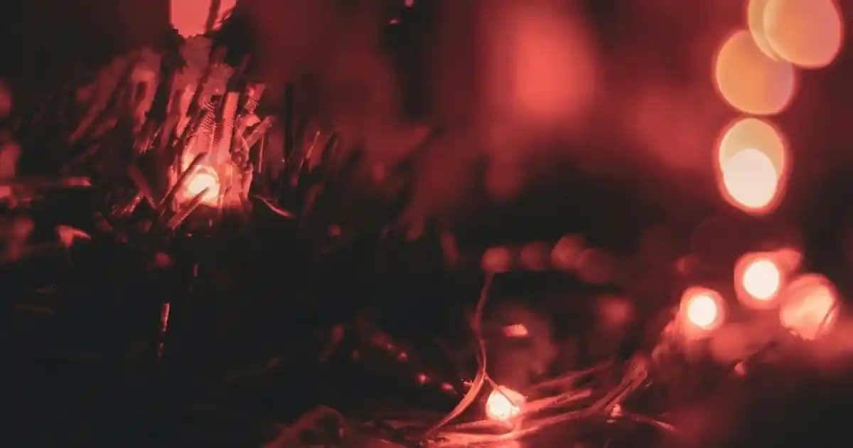 Tüllü Elbise Modelleri ve Trendler: Şıklık ve Zarafetin En Güzel Seçenekleri