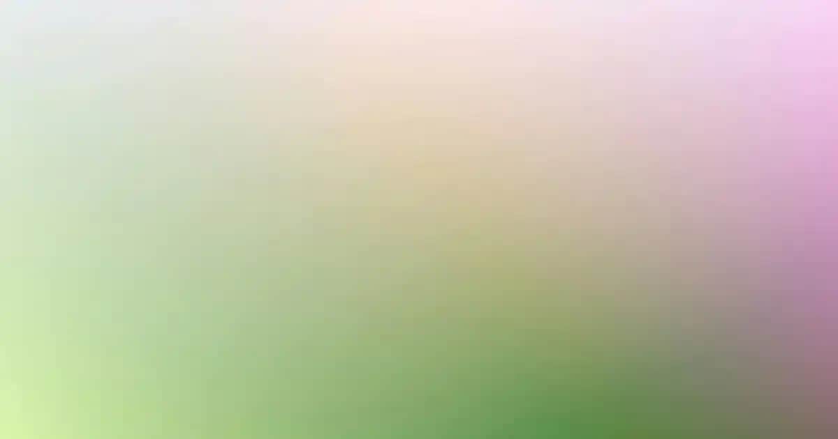 Yeni Sezon Güpür Dantelli Bluz Modelleri ve Kombin Önerileri