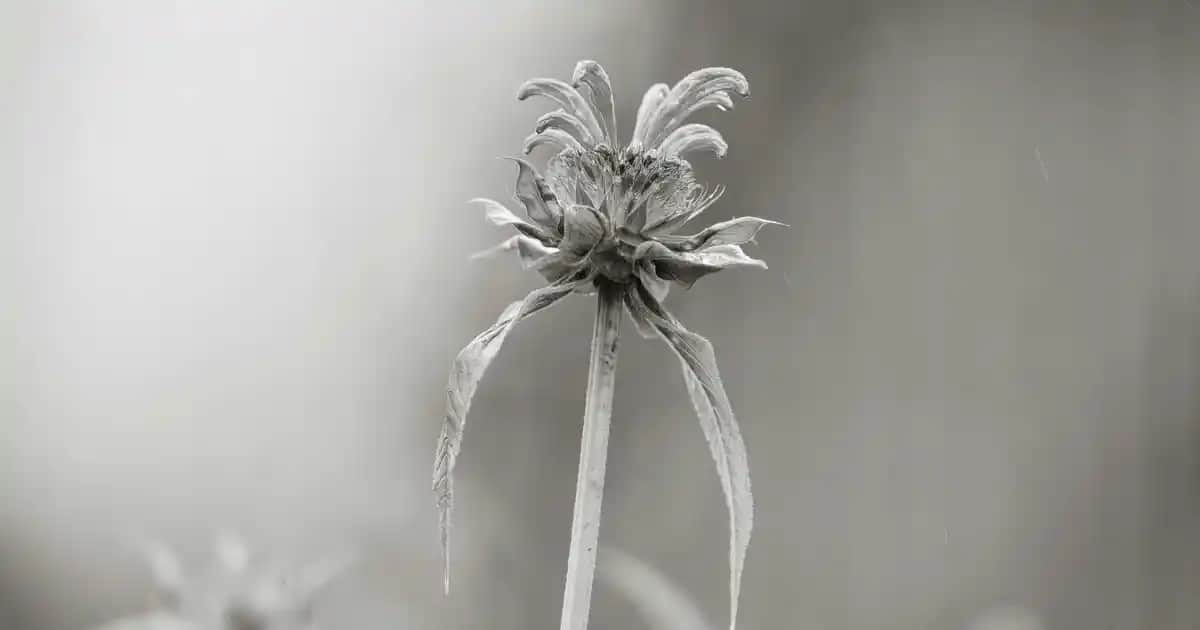 Yılbaşı Elbise Modelleri ve Trendleri 2024: Göz Kamaştıran Seçenekler ve Stil İpuçları