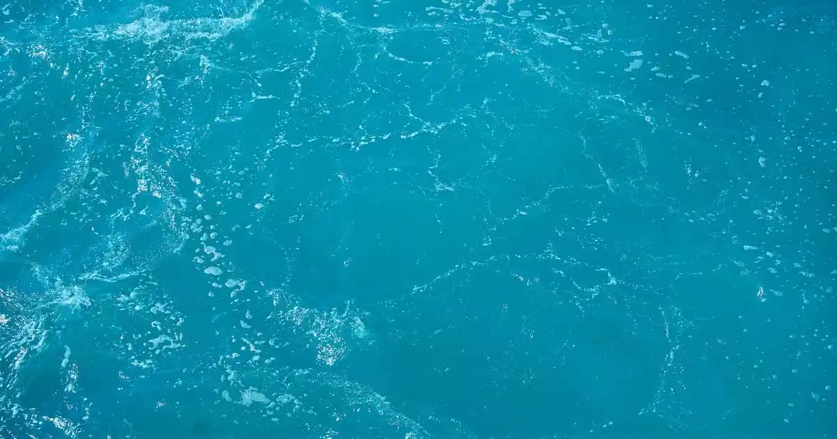 Zara Beyaz Kazak Koleksiyonu: Şıklık ve Konforu Bir Arada Sunan Modeller