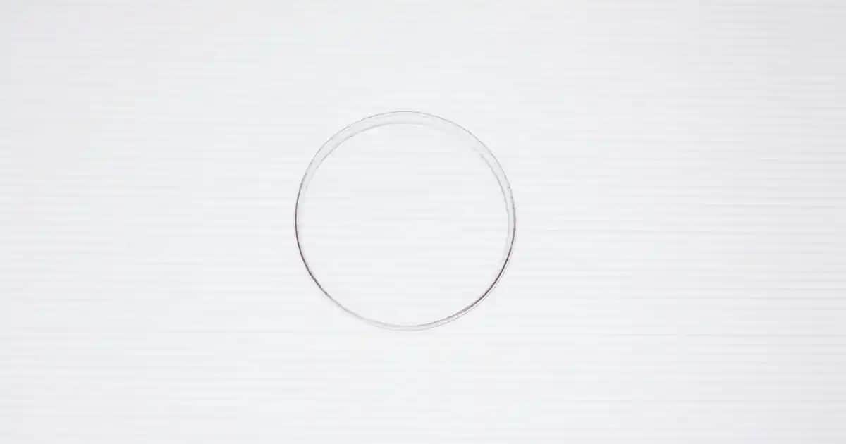 Zara Crop Denim Ceket Koleksiyonu: Modern ve Çok Yönlü Moda Seçenekleri