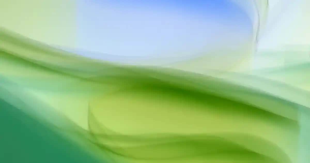 Zara'nın Turuncu Kazak Koleksiyonu: Moda ve Konforun Buluştuğu Seçenekler