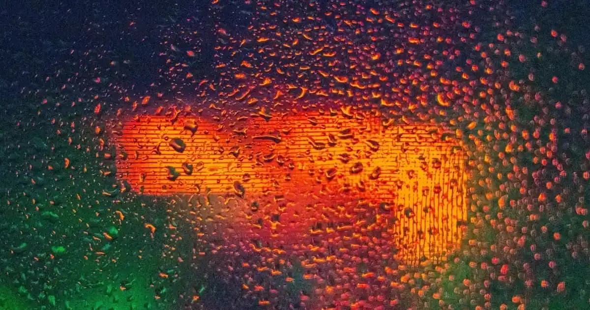 Zara Siyah Bluzlar: Çok Yönlü ve Zamansız Şıklık İçin Güncel Koleksiyonlar