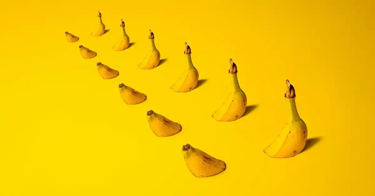 2025'te Zara Uzun Kollu Elbiselerle Şıklık ve Konforun 5 Sırrı