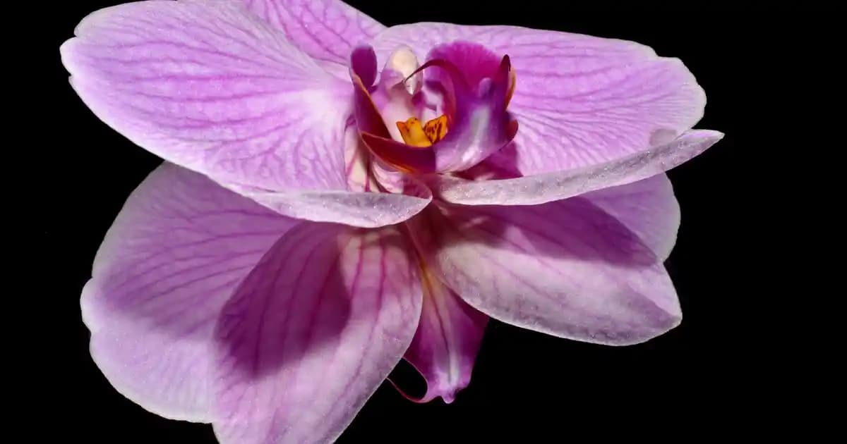 Günlük Moda Soruları ve Stil Tavsiyeleri: Kombin Önerileri ve Trend Analizi