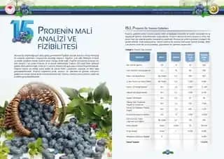 Merz b. Schwanen ve Alternatifleri: Premium Loopwheel Tişörtlerde Kalite ve Tercihler