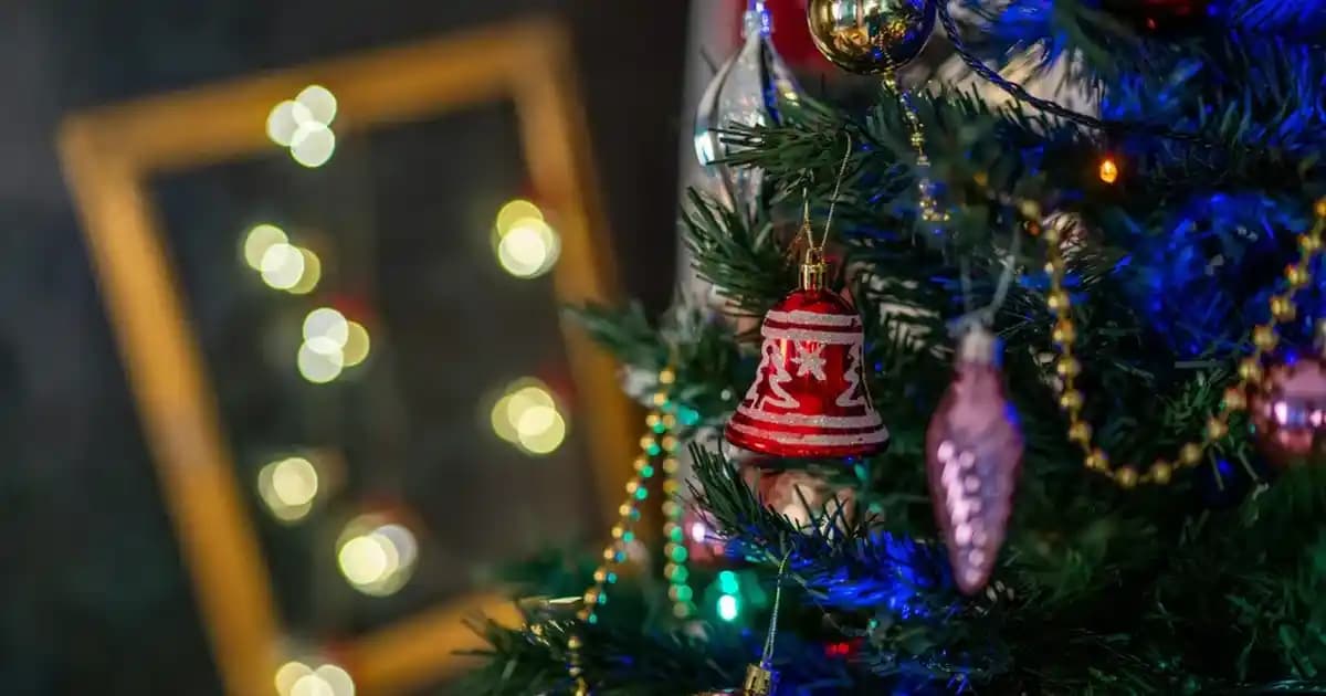 %100 Pamuk Tişörtler: Doğal ve Şık Giyim Seçenekleri Hakkında Bilgiler