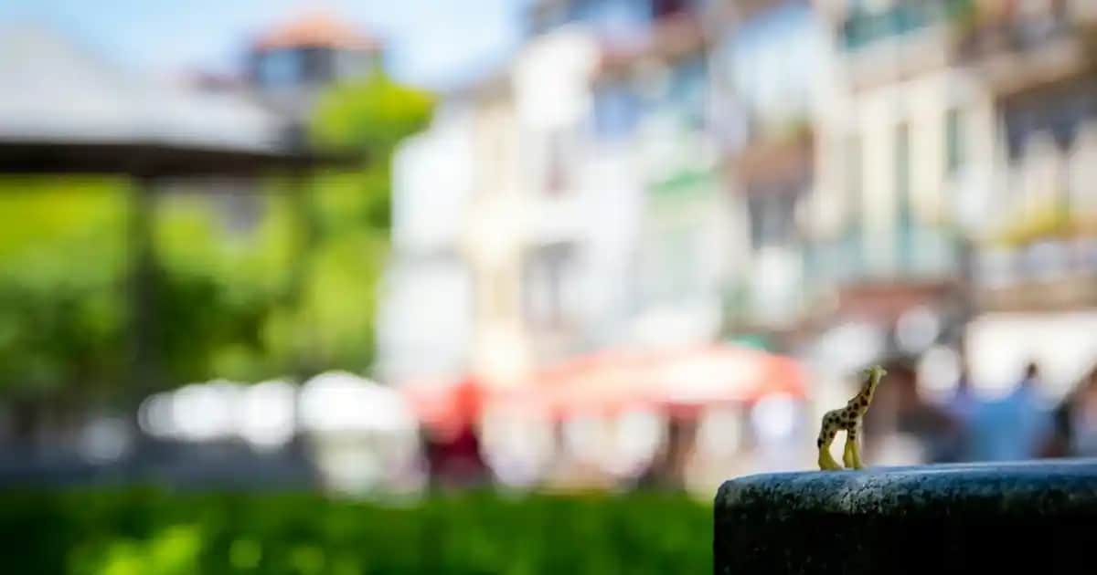 12 Yaş Çocuklar İçin Konforlu ve Şık Kazak Modelleri Güncel Trendler ve Seçim İpuçları