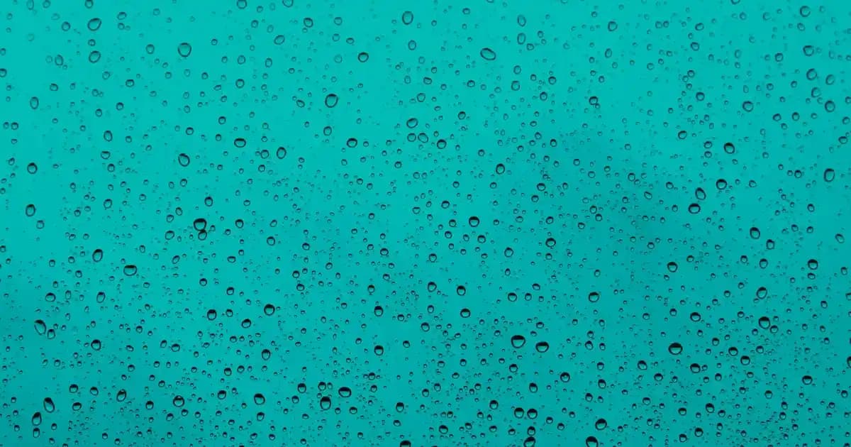 13 Yaş Erkekler İçin Mont Seçiminde Dikkat Edilmesi Gerekenler ve Trendler