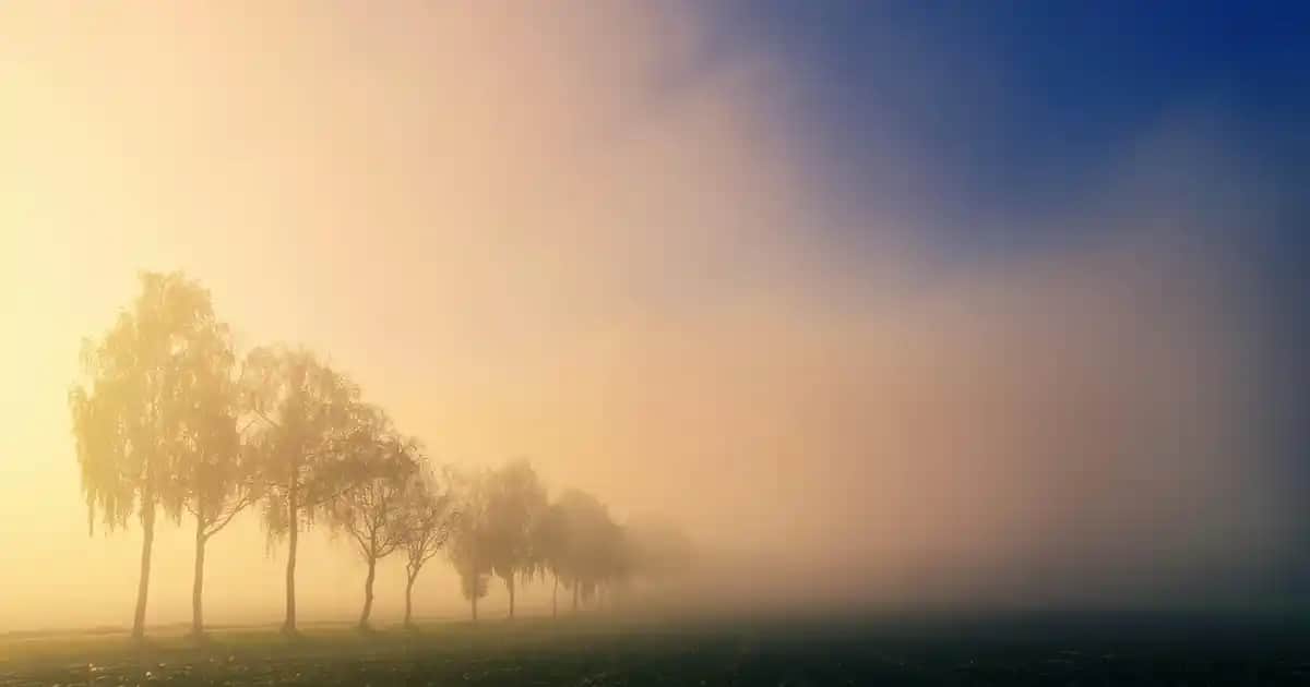 Adidas Kız Çocuk Montları: Kaliteli ve Şık Seçenekler ile Kışa Hazırlık