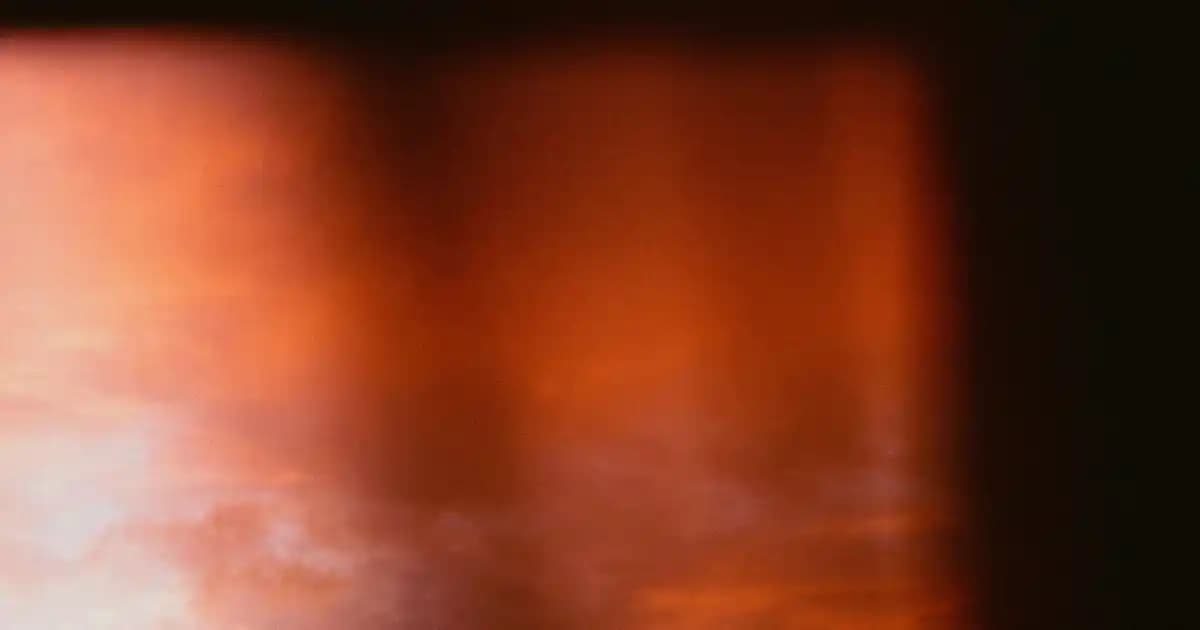 Adidas Lastikli Eşofman Altları: Konfor ve Şıklığın Modern Buluşması