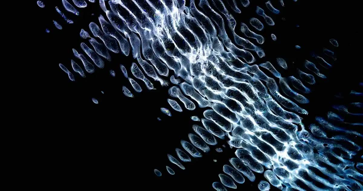 Ayılı Kazaklar Günümüz Moda Trendlerinin En Sevilen Parçası Olmaya Devam Ediyor