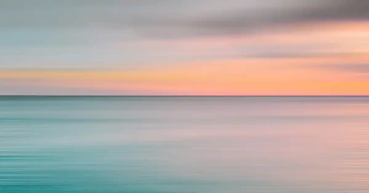 Bayan Şişme Yelek Modelleri ve Trendleri Günlük Şıklık ve Fonksiyonellik İçin