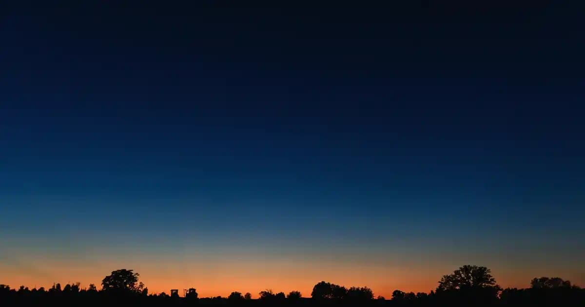 Bel Ağırlık Kemeri Seçimi ve Kullanımı: Performansı Artıran Güvenli Egzersiz Ekipmanı