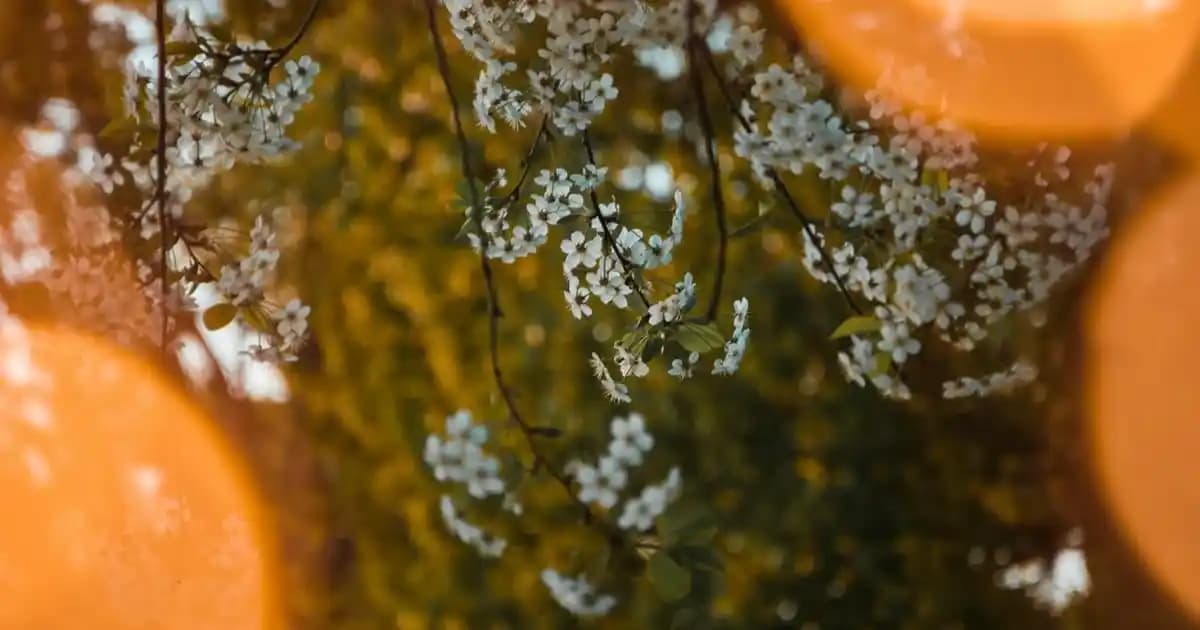 Calvin Klein Tişörtleri: Şıklık ve Konforu Bir Arada Sunan Modern Moda Seçenekleri