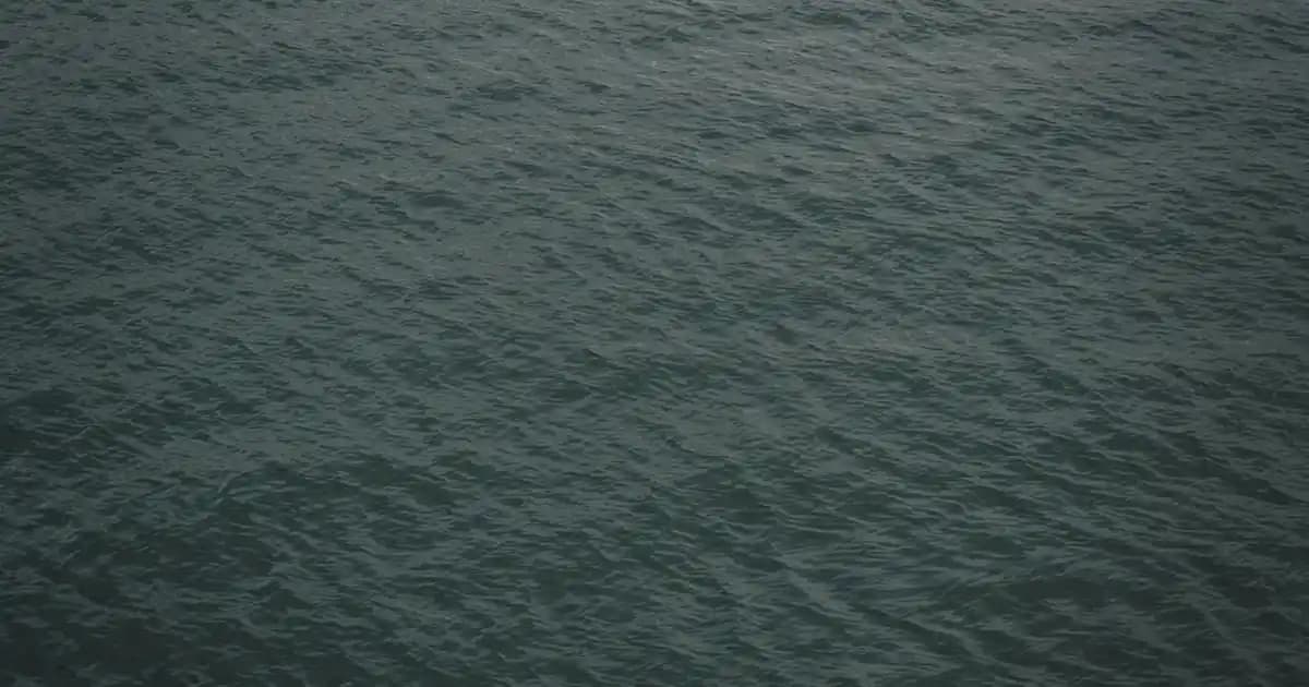 Delikli triko kazaklar: rahatlık ve şıklığın modern buluşması