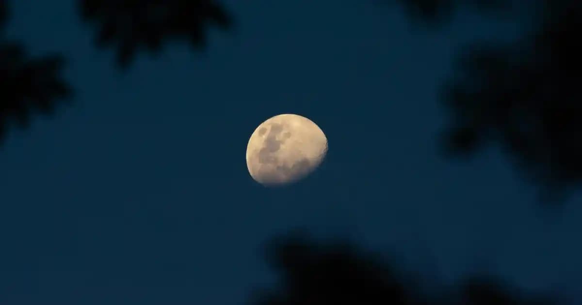 Deniz Şortu Fiyatları ve Modelleri: Yazın Rahatlığı ve Şıklığı İçin Rehber