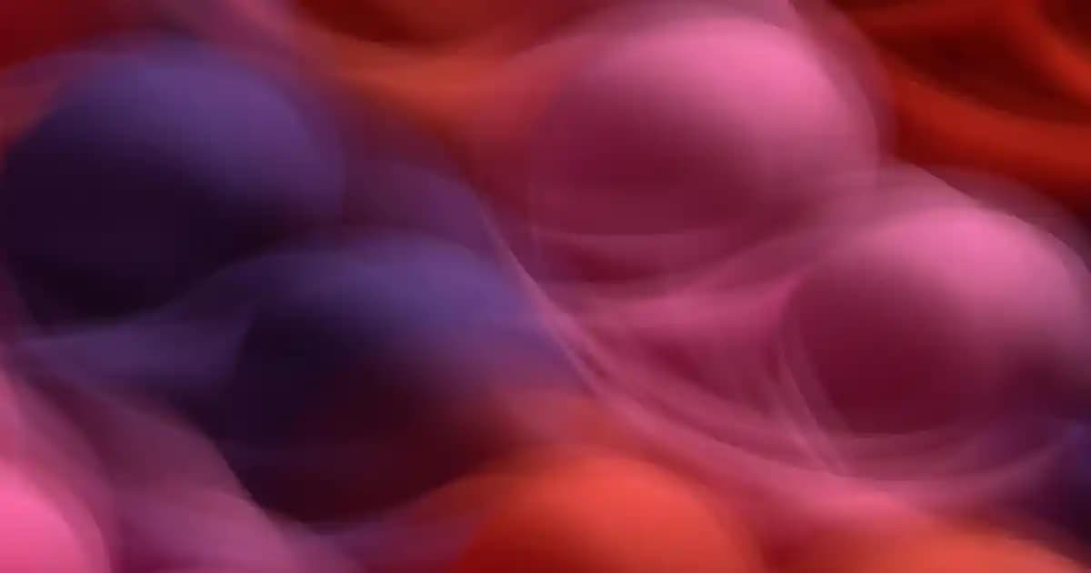 Deniz Şortu İçindeki File Ne İşe Yarar ve Neden Önemlidir