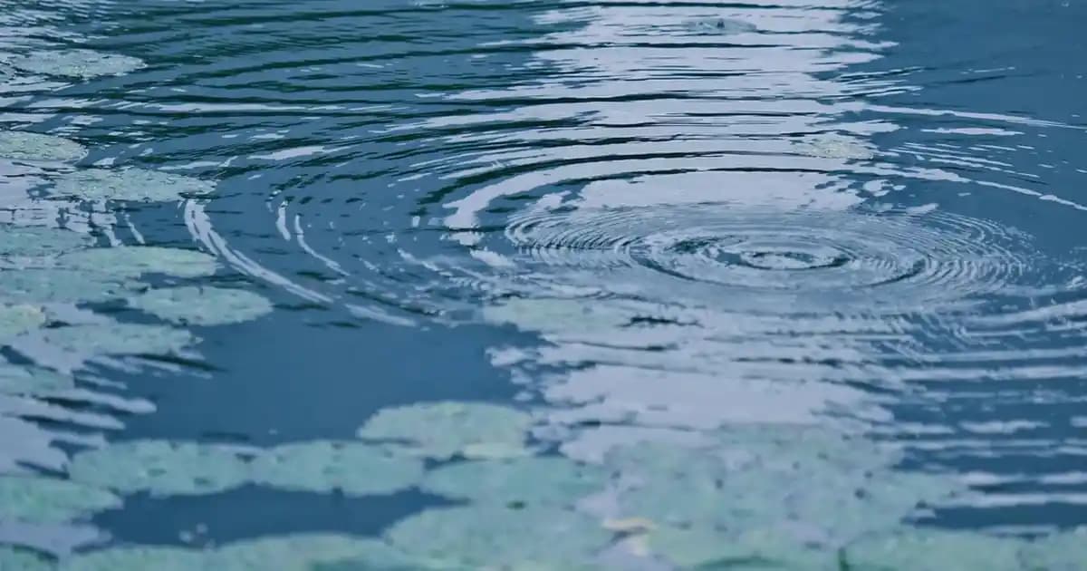 2025'te Ekru Jeanlerle Şıklığın 5 Sırrı: Gardırobunuzda Devrim