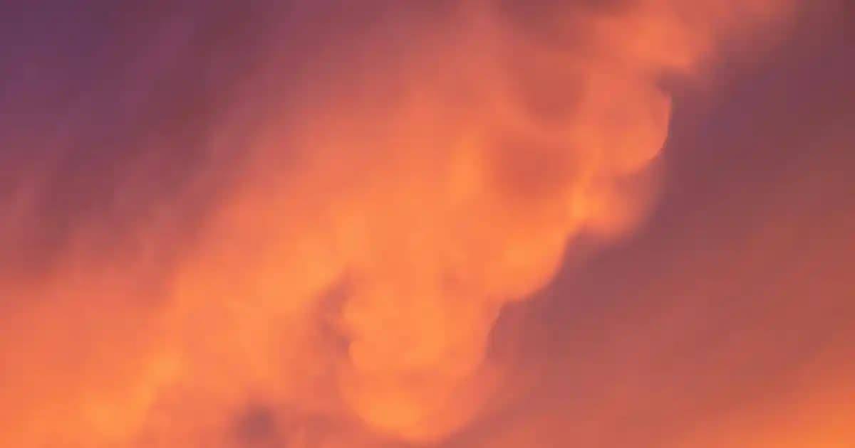 Erkek Bebek Penye Yelekleri: Konfor ve Şıklık Sunan Güncel Modeller ve Seçim İpuçları