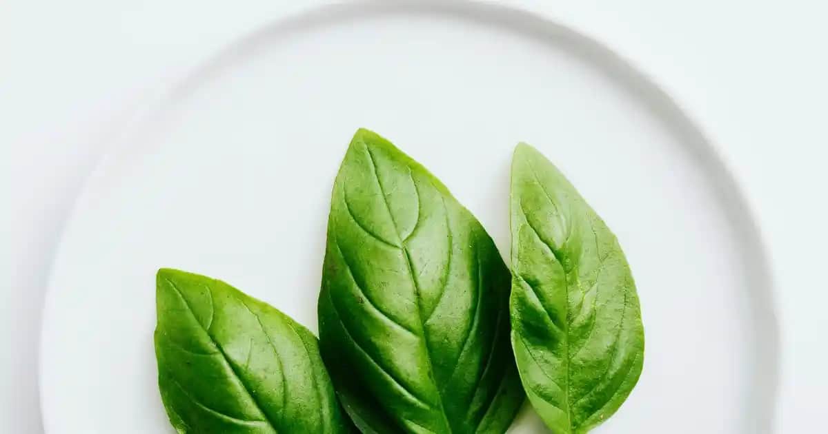 Erkek Boxer Markaları: Konfor ve Şıklık Sunan En Güvenilir Seçenekler