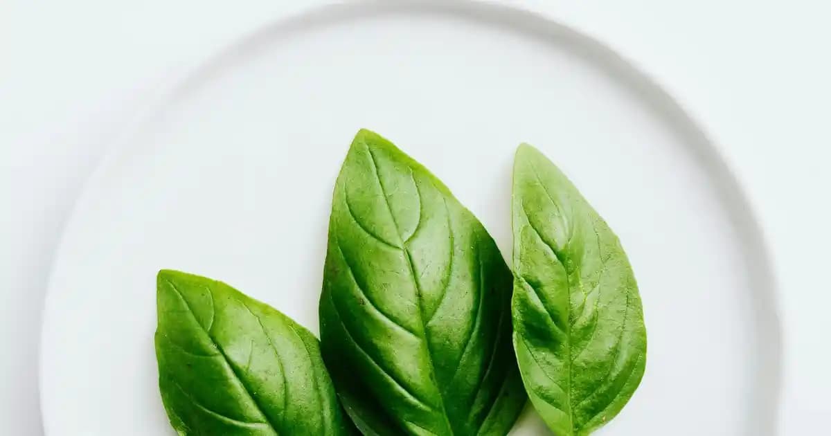 Erkek Boxer Markaları: Konfor ve Şıklık Sunan En Güvenilir Seçenekler