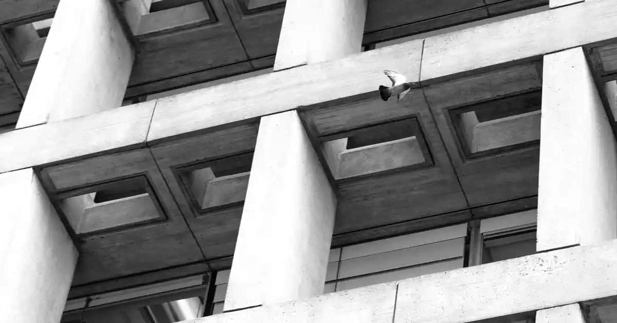 Erkek Kapüşonlu Sweatshirtler: Slazenger ile Şıklık ve Konforun Bir Arada Sunumu