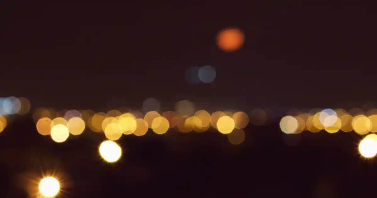 Erkekler İçin 3’lü Boxer Setleri: Konfor ve Tarzı Bir Arada Sunan Giyim Seçenekleri