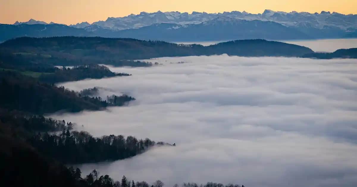 Eşofman Bedenleri ve Doğru Seçim İçin Giyim Trendleri Rehberi