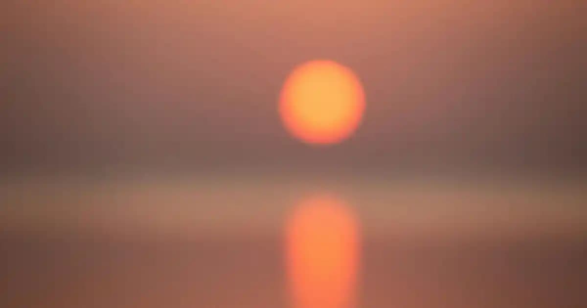 Günlük Şifon Elbise Modelleri ve Kombin İpuçlarıyla Şıklığınızı Yükseltin