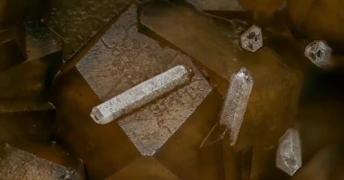 İşlemeli Ceket Modelleri: Şıklık ve Zarafetin Modern ve Klasik Kombinasyonları