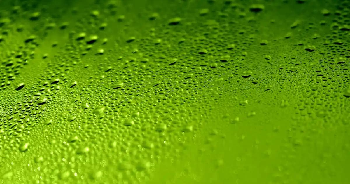 Kadın Kısa Şort Modelleri ve Stil İpuçlarıyla Yaz Aylarında Şıklık ve Rahatlık