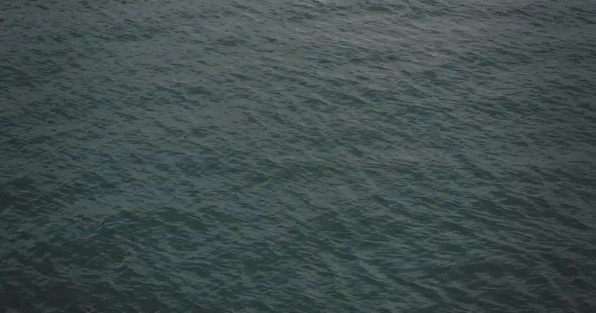 Kadın Yılbaşı Kazakları: Renkli ve Eğlenceli Seçeneklerle Yeni Yıla Hazırlık