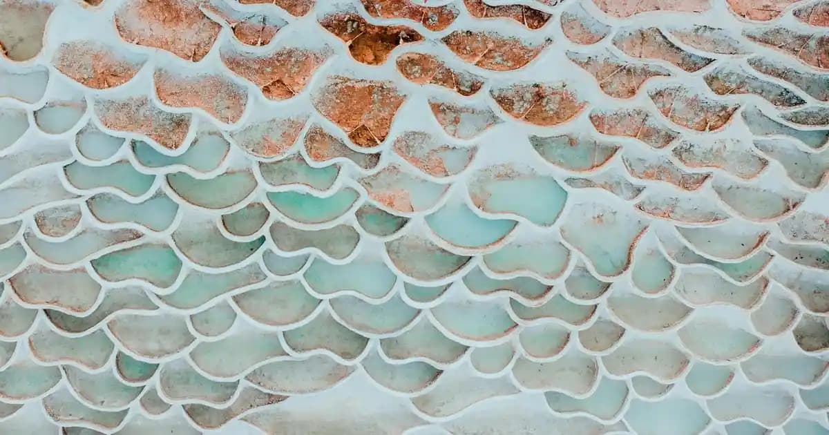 Kadınlar İçin Şortlu Pijama Takımı Trendleri: Konfor ve Şıklığın Modern Buluşması