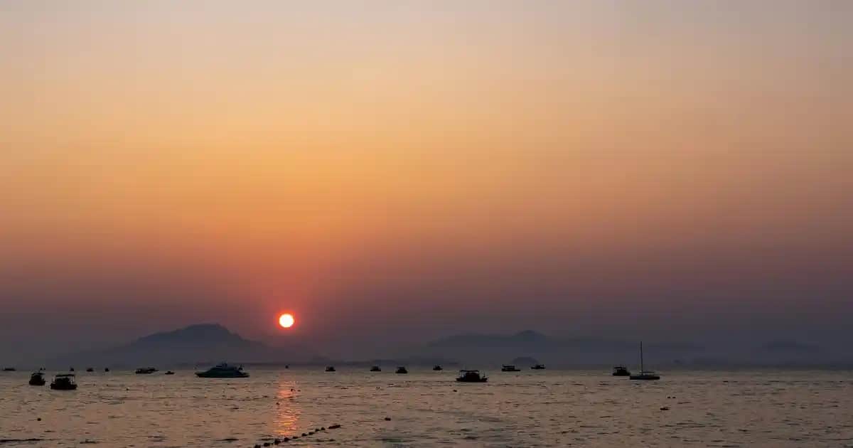 Kız Çocuk Eşofman Altı Seçiminde Dikkat Edilmesi Gerekenler ve Güncel Trendler