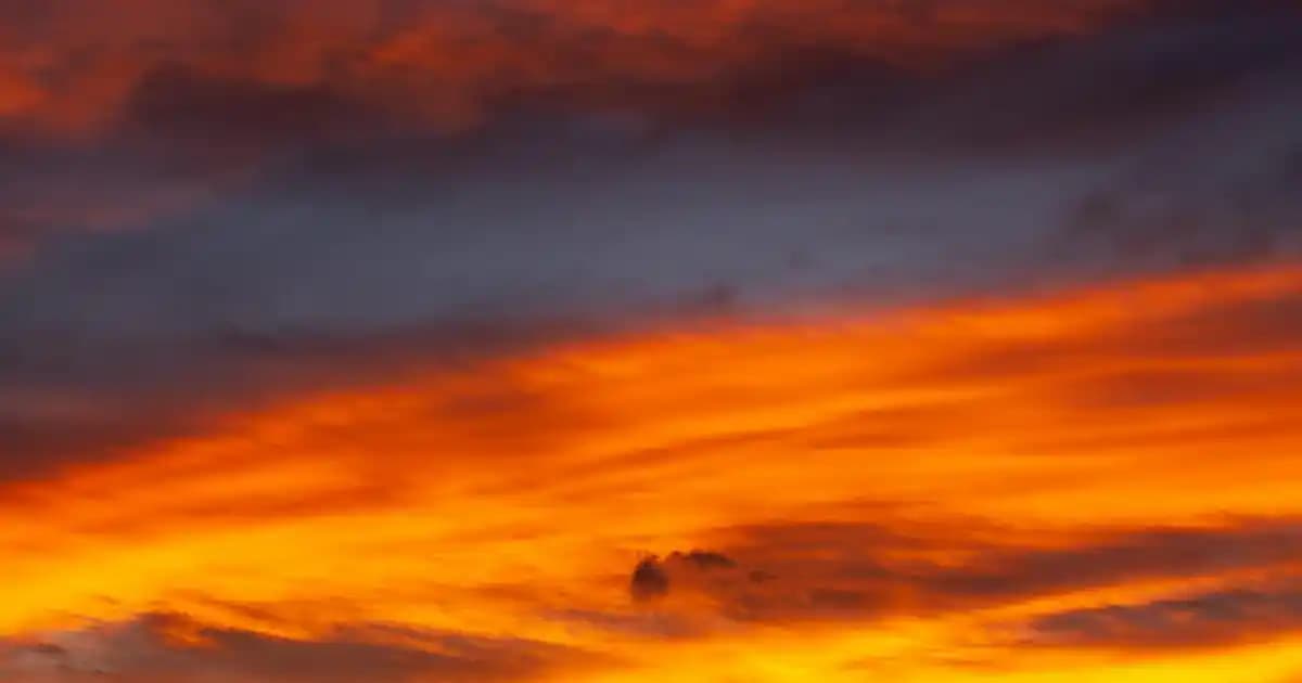 Kız Çocuk Kot Mont Seçenekleri ve Trendleri: Dayanıklı ve Şık Kış Kıyafetleri