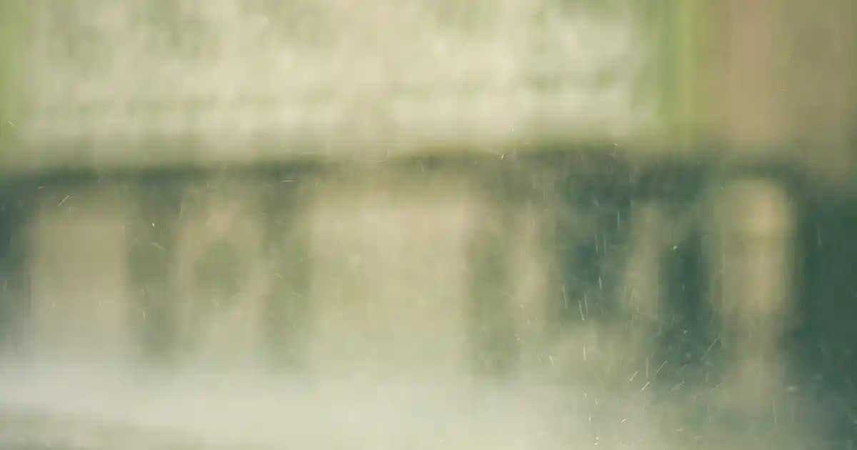 Lila Pantolon Modası: Farklı Modeller ve Stil İpuçlarıyla Kendinizi Yansıtın