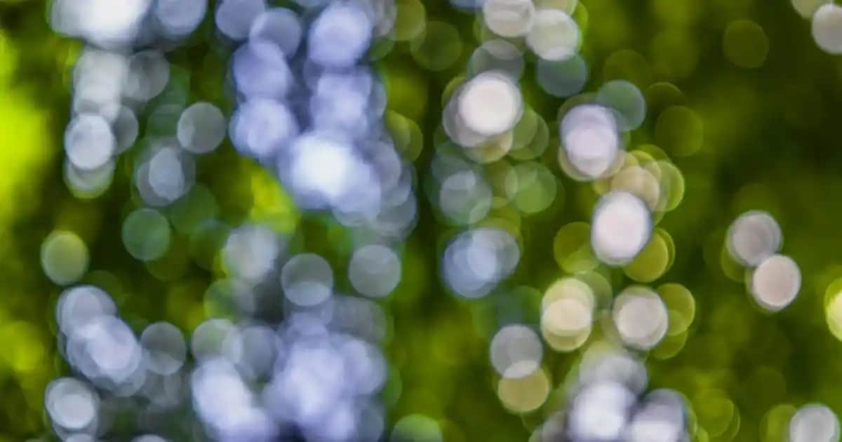 Loose Fit Pantolon Nedir ve Günlük Moda ile Şıklığı Birleştiren Modeller