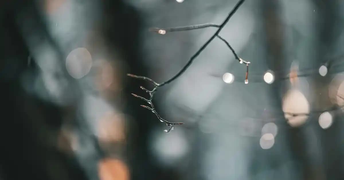 Mayo Tişörtler: Konfor ve Şıklığı Bir Arada Sunan Yenilikçi Giyim Seçenekleri