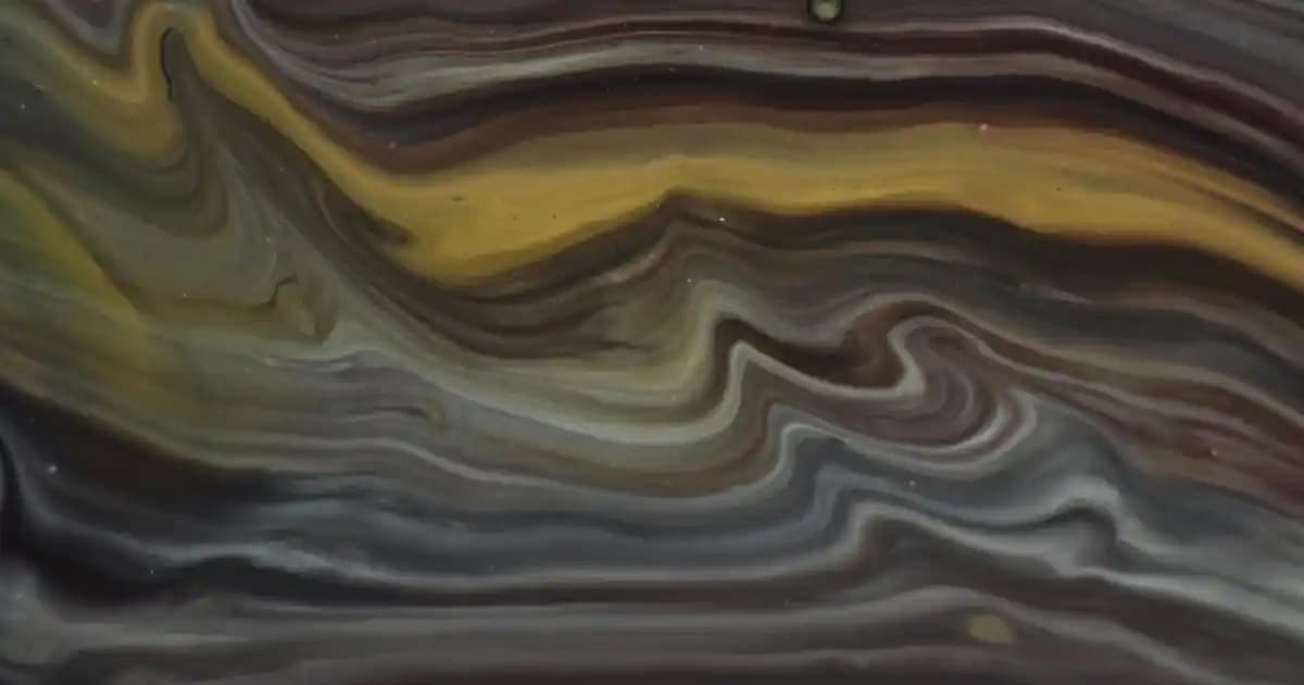 Okul Şort Etekleri: Rahatlık ve Şıklığı Bir Arada Sunan Güncel Trendler