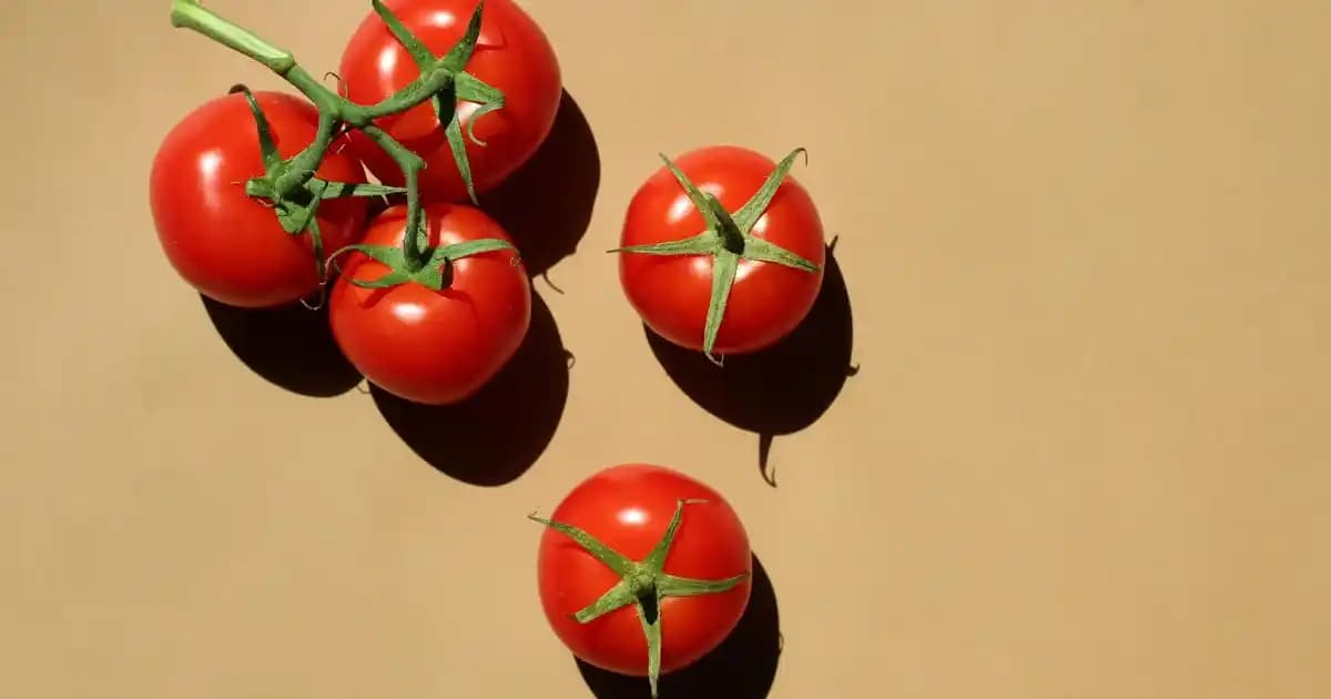 Şenol Güneş'in Beyaz Montu: Spor ve Moda Uyumu ile Kış Şıklığı Rehberi